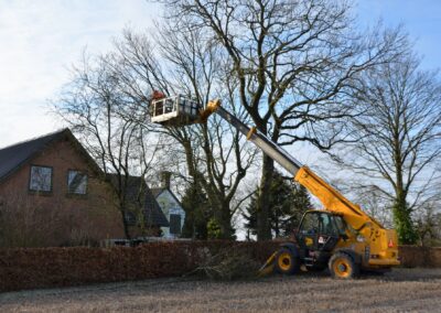 Schultz Træfældning