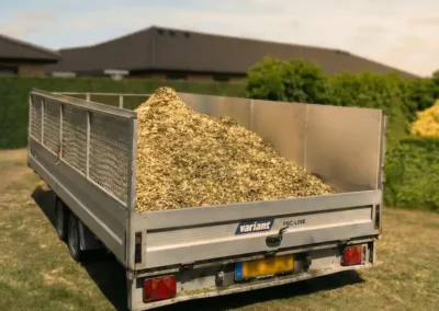 Flis efter beskæring og træfældning