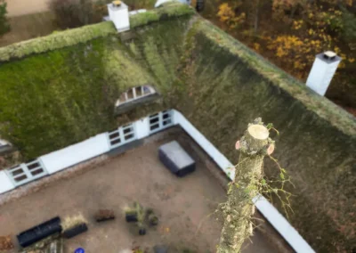 Stykvis træfældning sommerhus