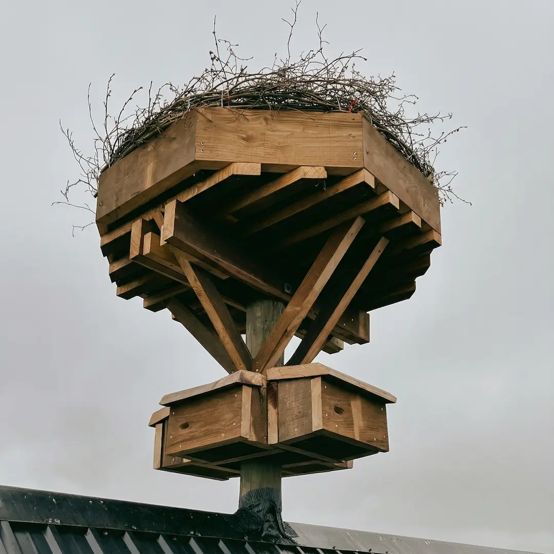 Storkerede Træfældning fra lift