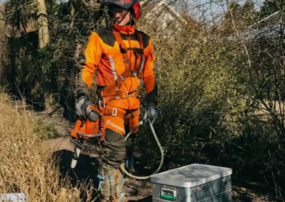 Træfældning klatring professionelt udstyr