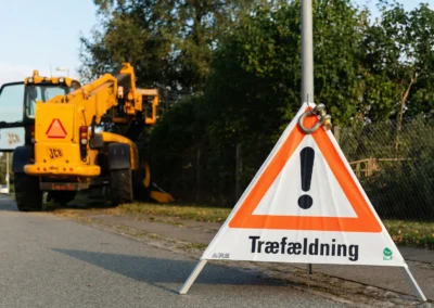 Sikker træfældning